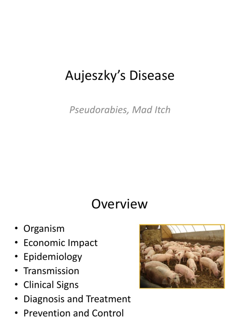 Caitlin Sloan PDF Animal Diseases Health Sciences