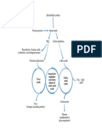 aminoacidi digestione.pdf