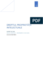 DPI_suport+de+curs