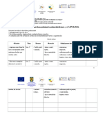 Plan de Dezvoltare Profesionala A Profes