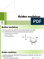 Bioquímica - Aula 09 - Ácidos Nucleicos