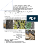 Help Save A Maine Treasure: The Ash Tree: WWW - Maine.Gov/Dacf/Php/Caps/Eab/Eabtrees - SHTML