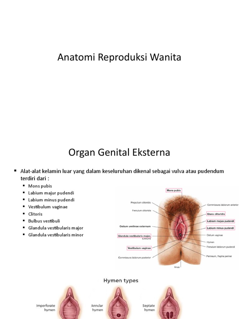 Olga Kurylenkoning yalangoch mushuki