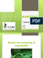 Curs 2 Mediul de Marketing