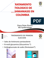 Tratamiento Etiológico de La Leishmaniasis en Colombia - Diana Rojas