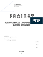 Proiect OM pt. IE.pdf