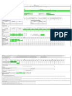 Formato 12 B RCC