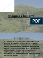 Bosques Chaparral