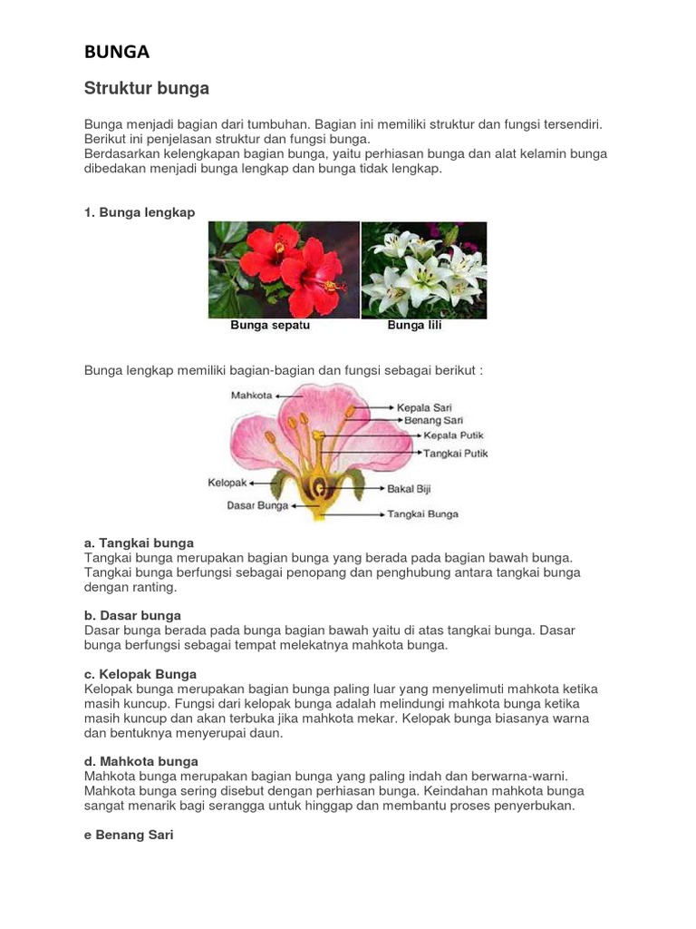 Top Ten Floo Y Wong Artist Struktur Bunga