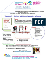 Organizac. y Gestion de La Hyst 2019