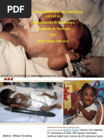 Embriologia Do Sistema Genital