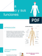 Sistema Nervioso y Sus Funciones