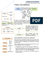 El Tema y Los Subtemas