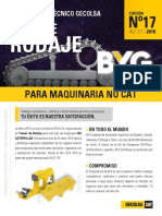 Comunicador Tecnico BYG 17 PDF