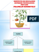 Clase X Plantas y Partes