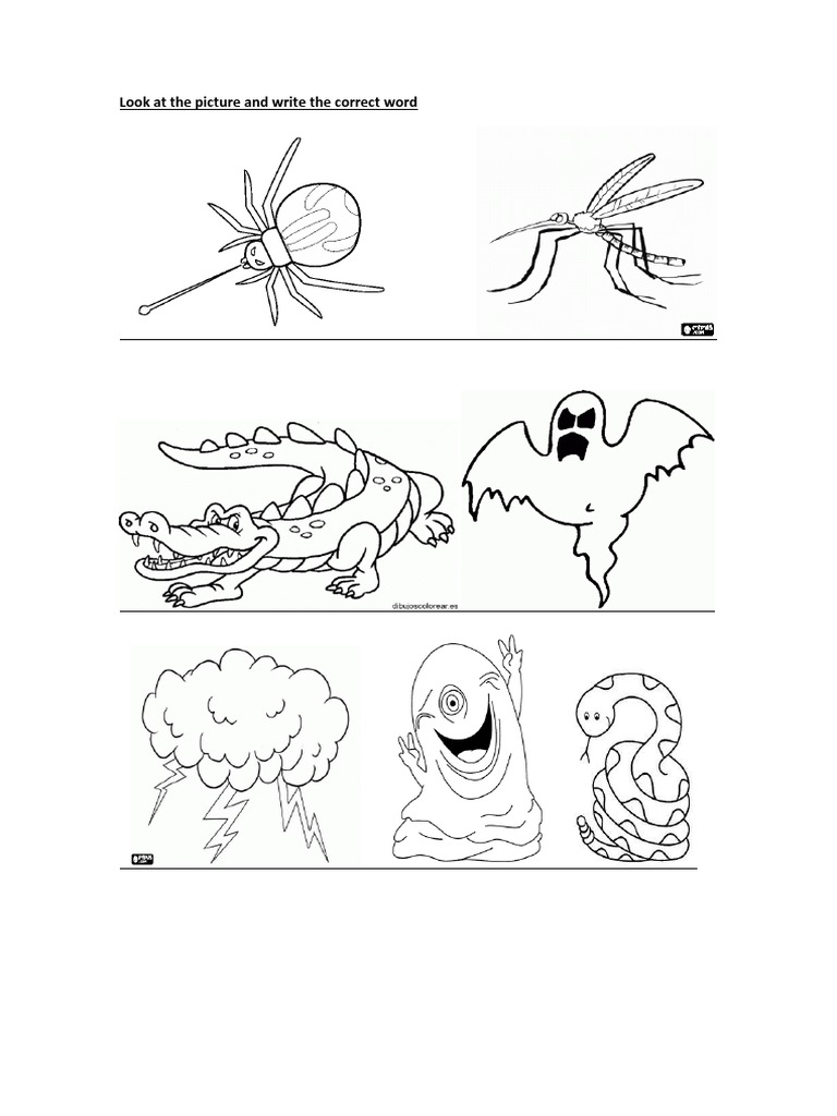 Look at The Picture and Write The Correct Word | PDF