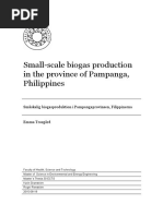 Small-Scale Biogas Production in The Province of Pampanga, Philippines