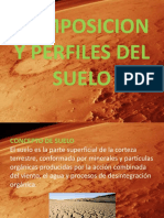 Composición y Perfiles Del Suelo