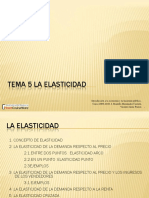elasticidad.pdf