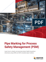 Guide PipeMarkingforPSM