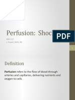 NSG 117 Perfusion