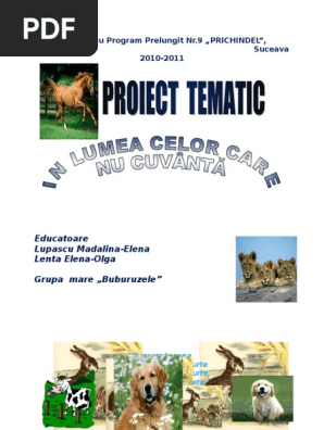 Proiect Tematic Grupa Mare D
