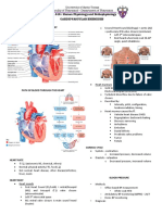 PHA 618: Human Physiology and Pathophysiology Cardiovascular Exercises