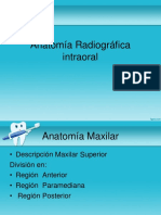 Anatomía Radiográfica