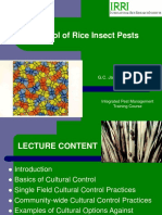 Control of Rice Insect Pests: G.C. Jahn & Islam Zahirul