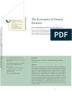 The Economics of Natural Disasters: Further