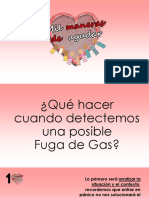 Fuga de Gas