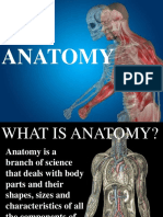 Austin Journal of Anatomy