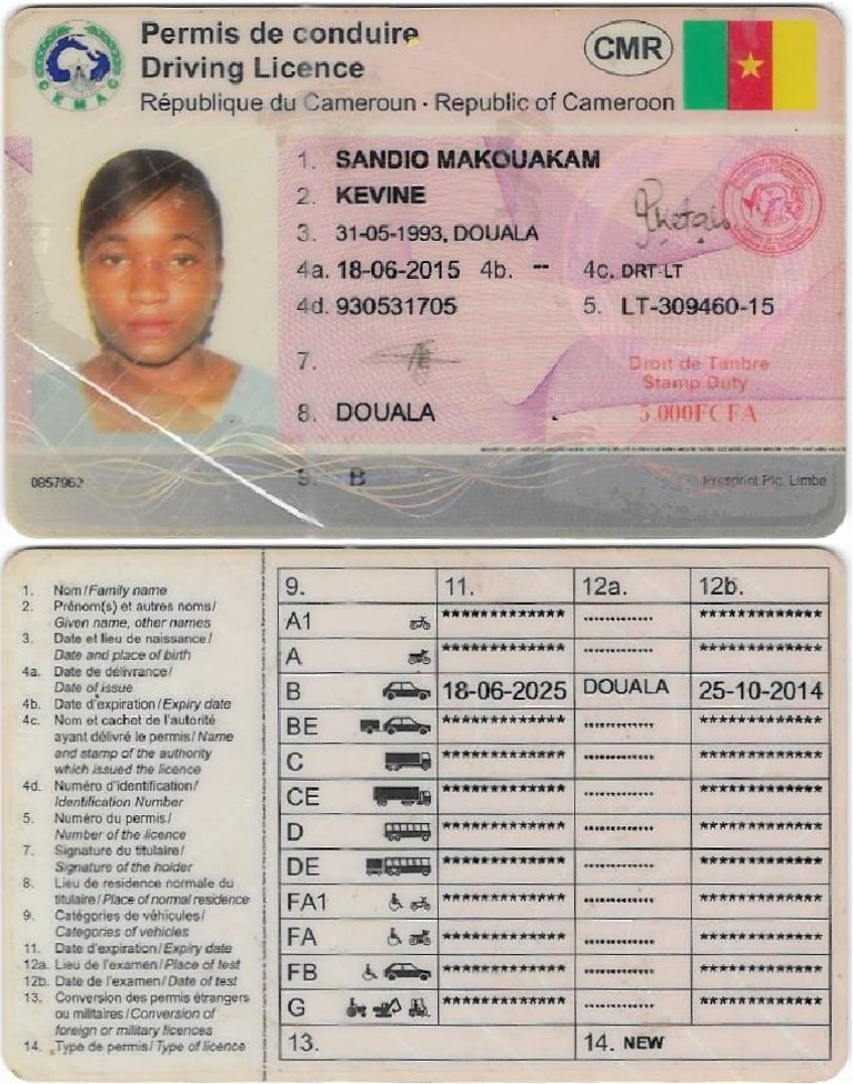 Les différents types de permis de conduire - digiSchool