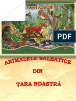 Animale Salbatice Din Romania