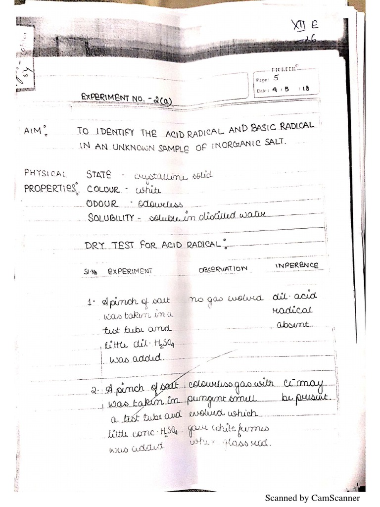 Document Scanning with CamScanner | PDF