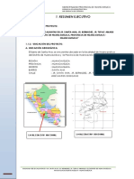 Resumen Ejecutivo