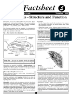 Chloroplasts.pdf