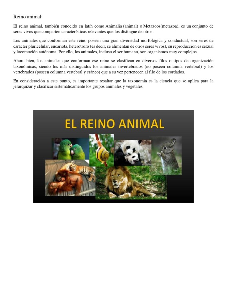 Definición del Reino Animal | PDF | Hongo | Procariota