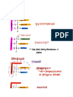 Phospholipid S