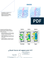 Fisio Renal