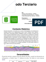 Periodo Terciario h12