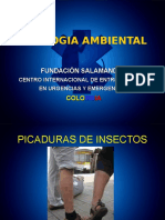 Picaduras Por Insectos ,Anafilaxia