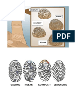 Types of Finger Print