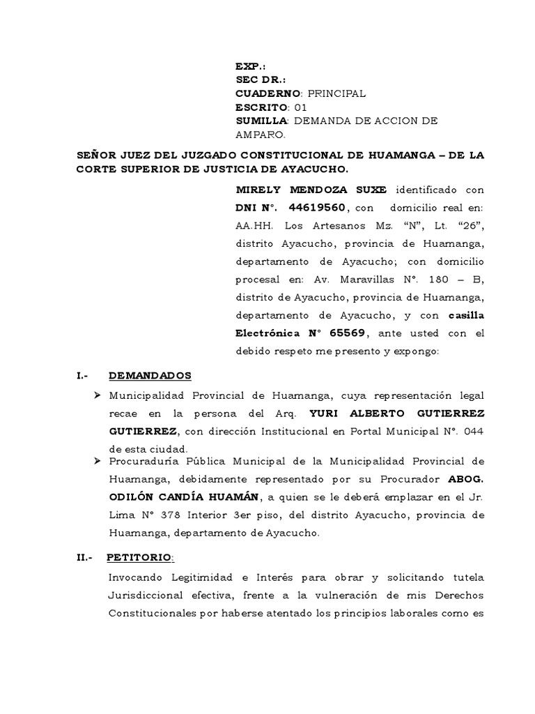Demanda de Amparo | PDF | Debido al proceso | Derecho laboral