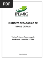 Introducao a Psicopedagogia