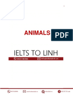 Từ Vựng Chủ Đề Animal - IELTS Tố Linh