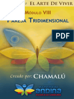 08 - Pareja Tridimensional