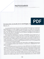 Protozoos Rosa.pdf