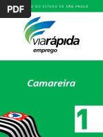 Camareira 1.pdf