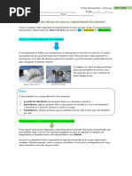 Fatores Do Meio e Proteção